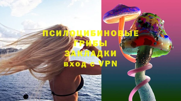 молекула духа Белокуриха